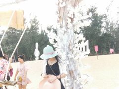 -玫瑰海岸文化旅游度假区