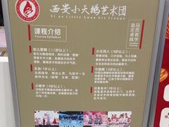 -西安小天鹅艺术团(金花路校区)