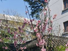 -苏州图书馆(人民路总馆)