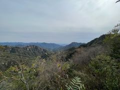 -大岭沟猕猴桃谷风景区