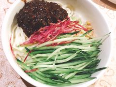 -大鸭梨烤鸭店(花园村店)