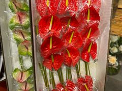 -双季花艺园艺市场(浦东店)
