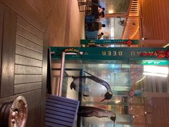-喷泉广场餐厅·宵夜·海鲜烧烤大排档(长隆企鹅酒店)