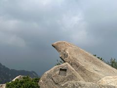 -泰山风景名胜区