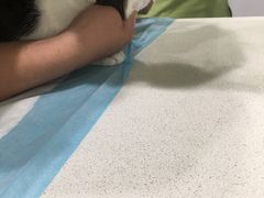 -艾吉宠物医院·疑难杂症转诊中心·猫友好(碧江路院)