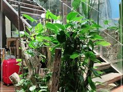 -渔太泰漓江小馆·广西融合菜(西街店)