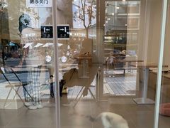 -有喵·猫咖·狗咖·30几只猫10只小狗(岗厦店)