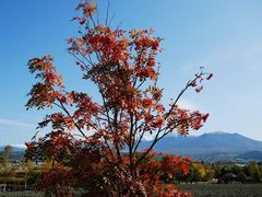 -富田农场