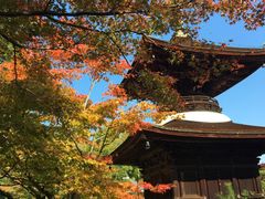 -常寂光寺