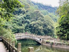 -峨眉山风景名胜区