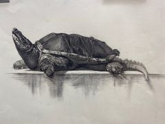 -八哥美术·成人美术画室(总校区)