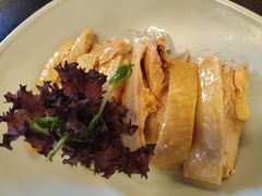 -Asianplus海蓝鸡饭