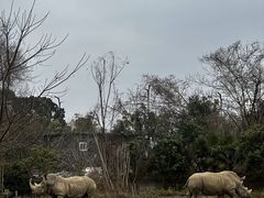 -宁波野生动物园