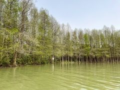 -上海海湾国家森林公园