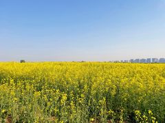 -汉长安城未央宫国家考古遗址公园