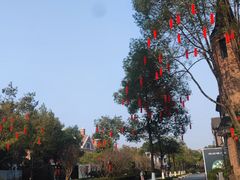 -成都南湖公园