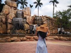 -美的鹭湖探索王国