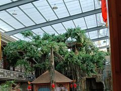 -老山东·山东菜(鲁菜名店)