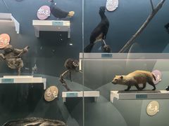 -国家自然博物馆