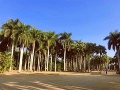 -深圳湾公园(南山区)