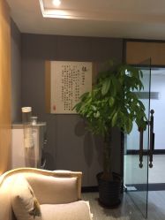 -唯伊美塑身美养连锁