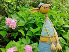 -上海共青森林公园