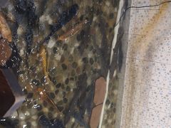 -白洋淀灶台鱼(名佳花园店)