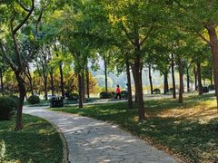 -泰丰公园