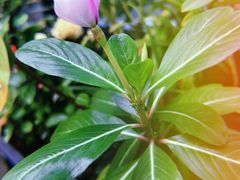 -西西弗书店&矢量咖啡(来福士广场店)