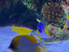 -上海海洋水族馆