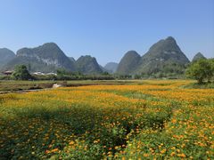 -靖西鹅泉风景区