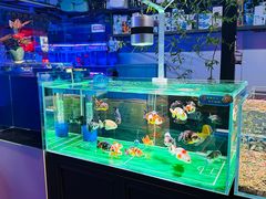 -朝来春花卉市场