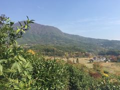 -塔川景区