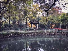 -阿育王寺素斋馆