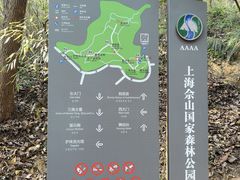 -上海佘山国家森林公园天马山园