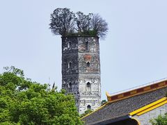 -江心屿景区