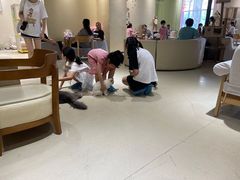 -藏猫猫咖啡主题馆(中央大道店)