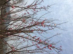 iphone_upload_pic-林屋洞景区