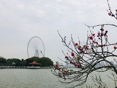 -无锡蠡湖国家湿地公园-蠡园