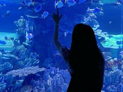 -左海海底世界