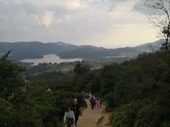 -大姆山草场