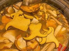 -慢丽江·云南野生菌土鸡锅(付家庄店)
