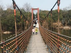 -上海吴淞炮台湾国家湿地公园