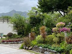 -屯门公园