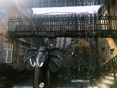 -呀路古热带植物园