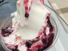 -Salud撒露欧洲冻酸奶(蓝色港湾店)