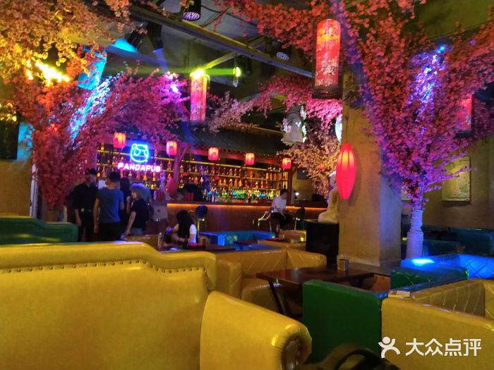 熊猫酒馆图片