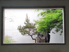 -杭州植物园