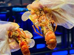 -红盔甲·小龙虾(天钥桥店)