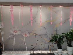 -广州萨谛艾扬格瑜伽中心